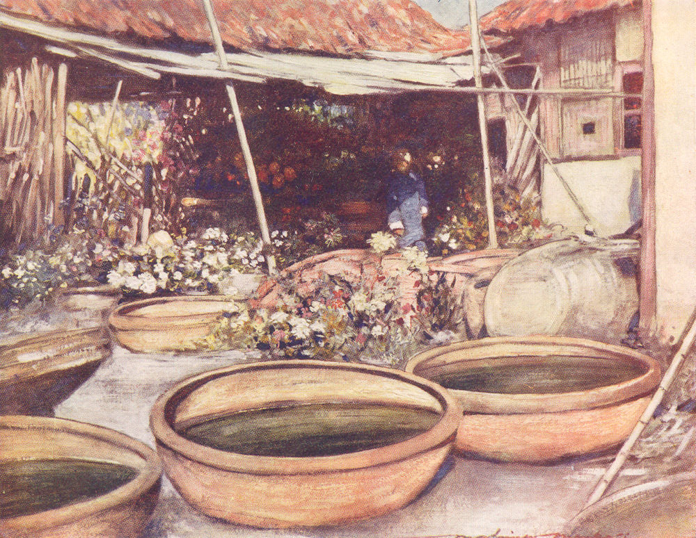 CHINA. Nursery garden, China 1920 old antique vintage print picture